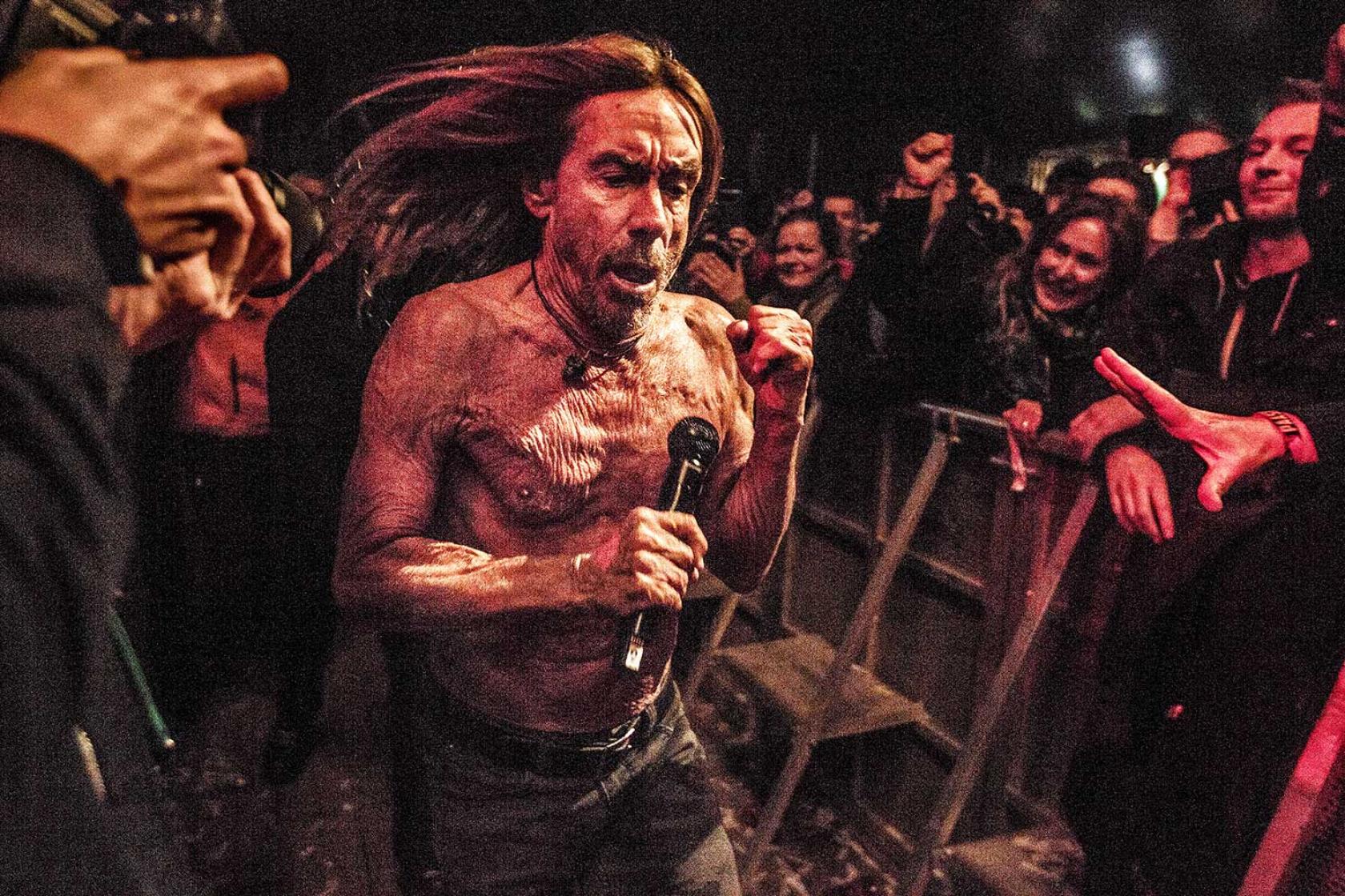 Iggy Pop Paul Bergen