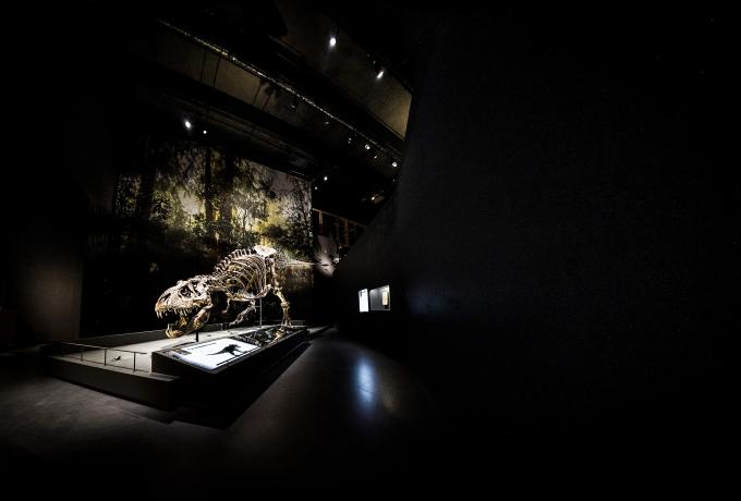 Natuurmuseum Naturalis in Leiden, het museum is verkozen tot Europees Museum van het jaar 2021. Foto: ANP / Remko de Waal