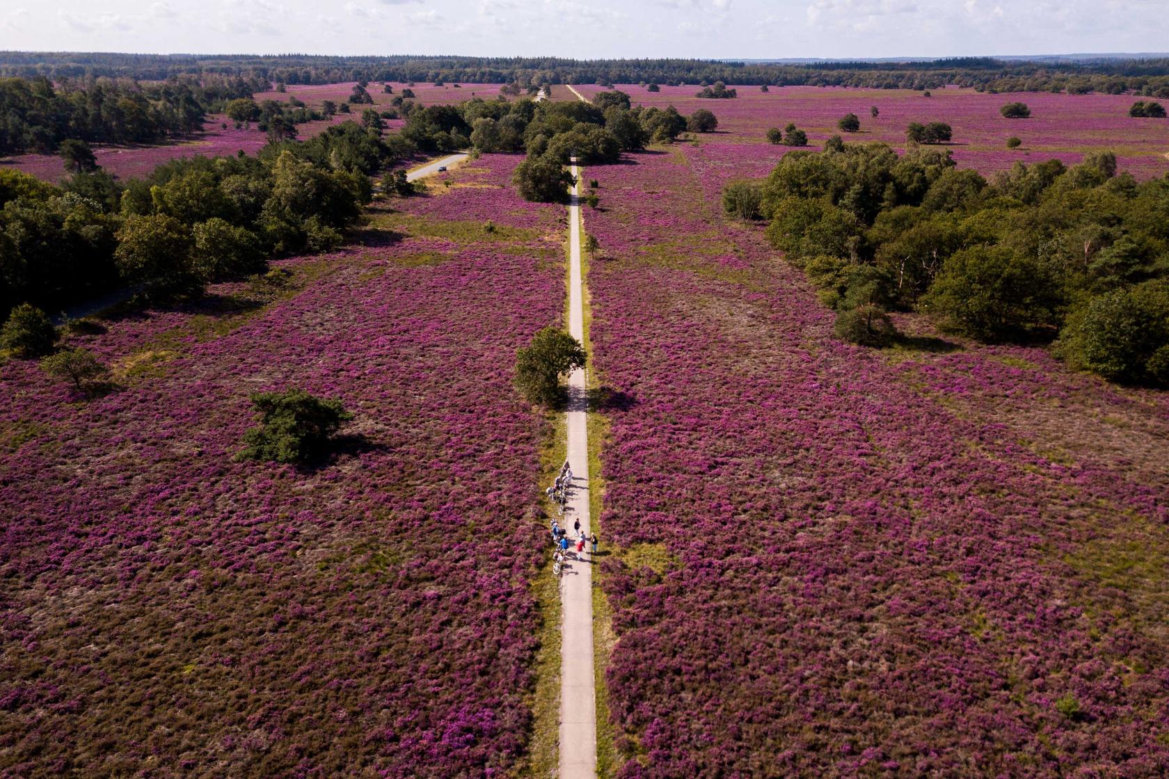 heide veluwe dronefotografie