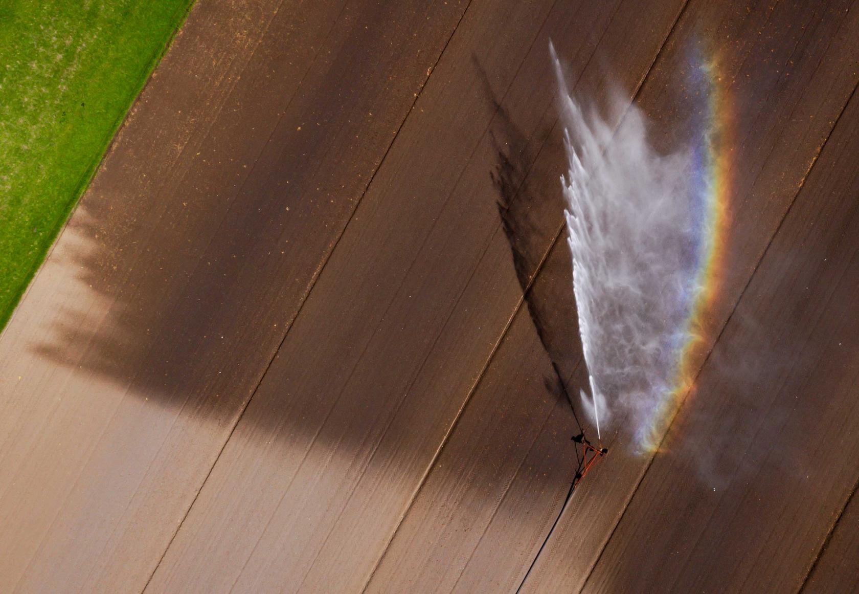 Boer beregent zijn akkers